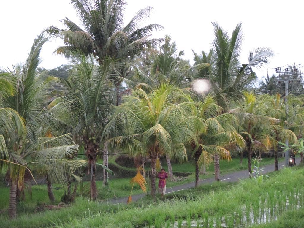 Hotel Ancut Sari Ubud Esterno foto