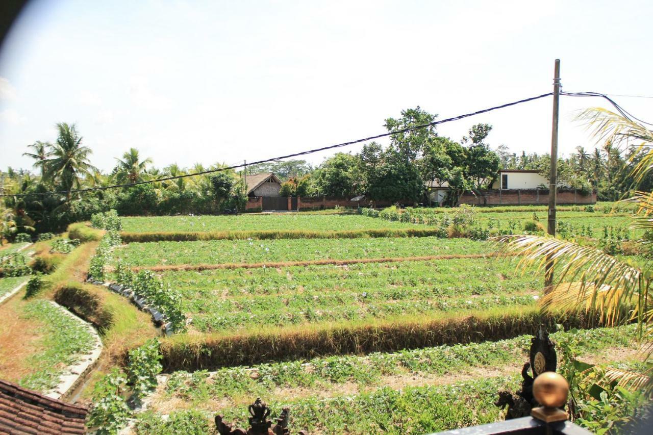 Hotel Ancut Sari Ubud Esterno foto